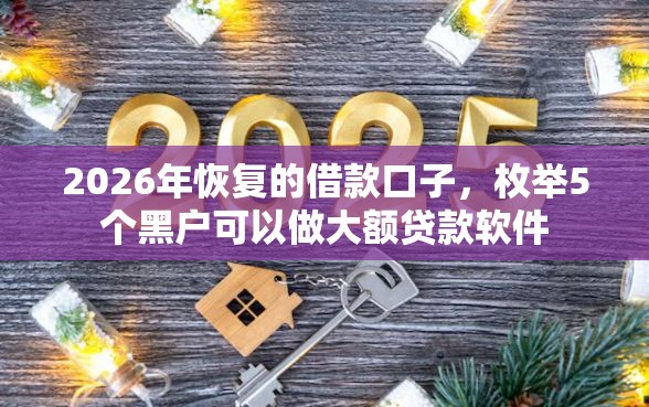 2026年恢复的借款口子，枚举5个黑户可以做大额贷款软件