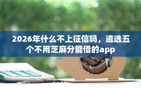 2026年什么不上征信吗，遴选五个不用芝麻分能借的app