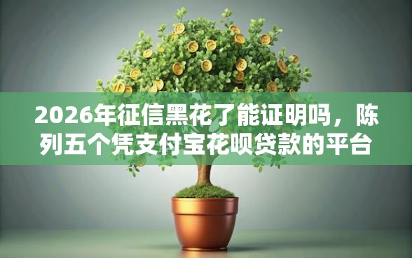 2026年征信黑花了能证明吗，陈列五个凭支付宝花呗贷款的平台