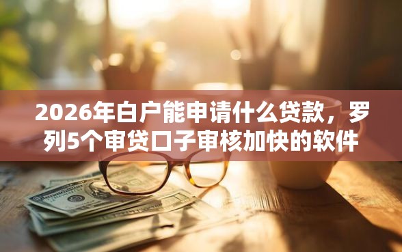 2026年白户能申请什么贷款，罗列5个审贷口子审核加快的软件