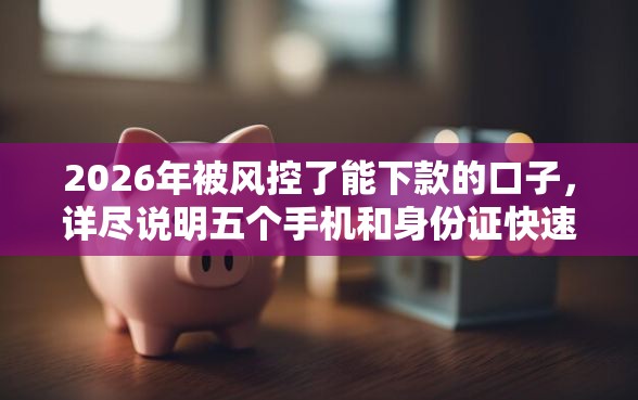 2026年被风控了能下款的口子，详尽说明五个手机和身份证快速借钱软件