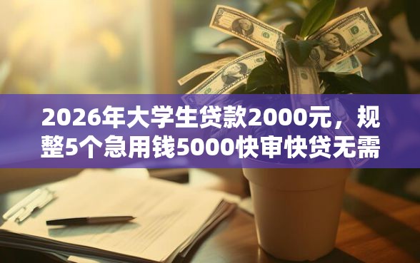 2026年大学生贷款2000元，规整5个急用钱5000快审快贷无需征信软件