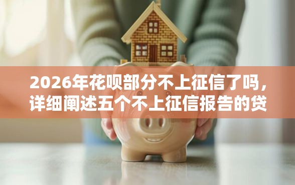 2026年花呗部分不上征信了吗，详细阐述五个不上征信报告的贷款口子