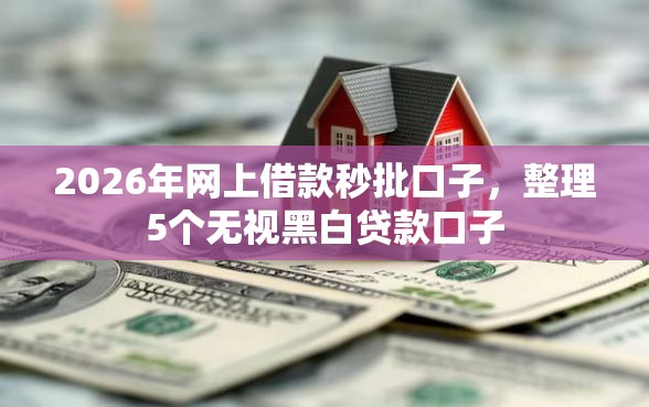 2026年网上借款秒批口子，整理5个无视黑白贷款口子