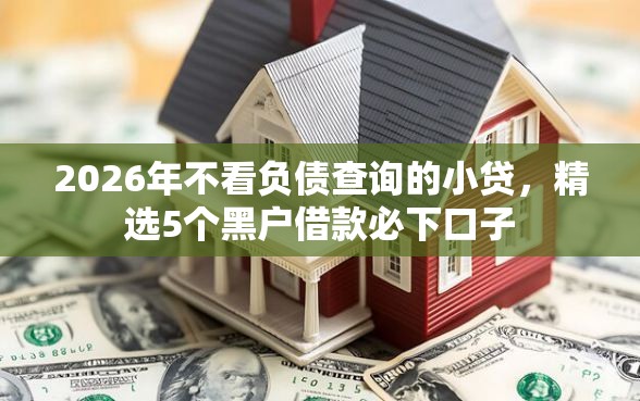 2026年不看负债查询的小贷，精选5个黑户借款必下口子