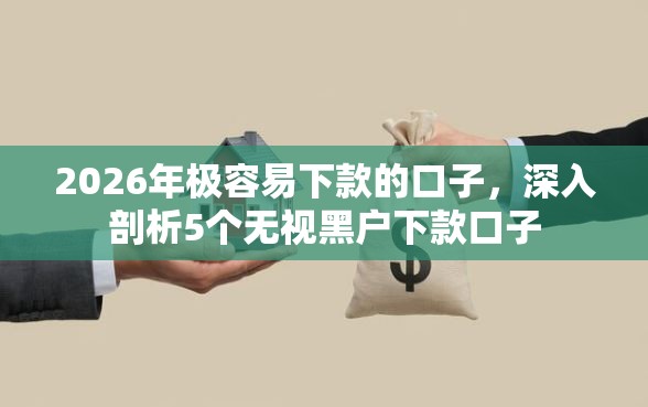 2026年极容易下款的口子，深入剖析5个无视黑户下款口子