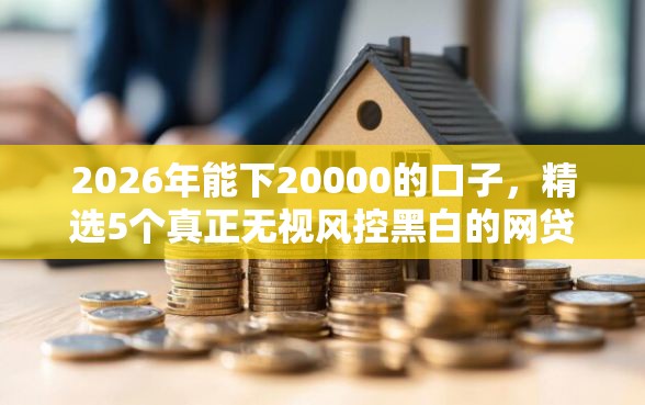 2026年能下20000的口子，精选5个真正无视风控黑白的网贷