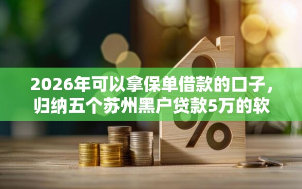 2026年可以拿保单借款的口子，归纳五个苏州黑户贷款5万的软件