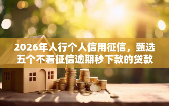 2026年人行个人信用征信，甄选五个不看征信逾期秒下款的贷款