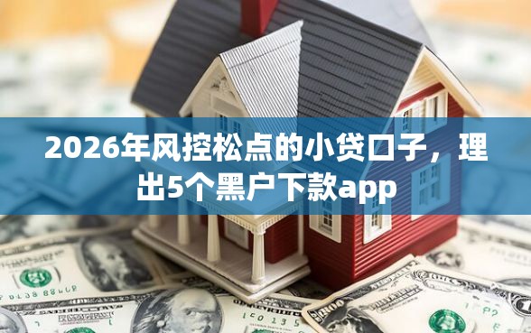2026年风控松点的小贷口子,理出5个黑户下款app 2026年风控松点的小贷口子,理出5个黑户下款app
