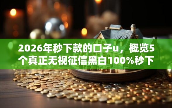 2026年秒下款的口子u，概览5个真正无视征信黑白100%秒下网贷