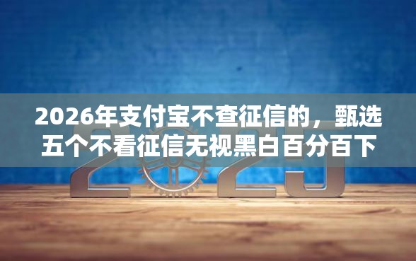 2026年支付宝不查征信的，甄选五个不看征信无视黑白百分百下款平台
