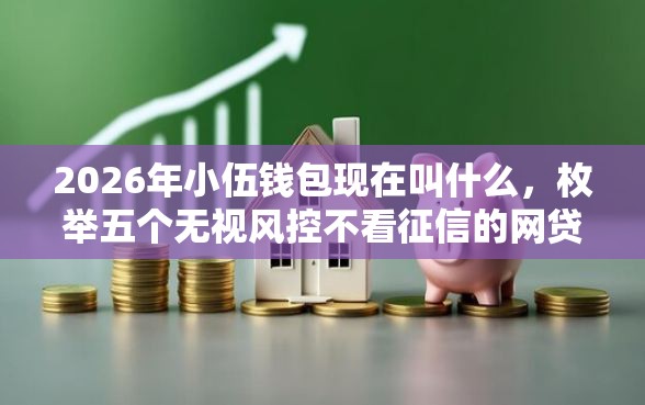 2026年小伍钱包现在叫什么，枚举五个无视风控不看征信的网贷
