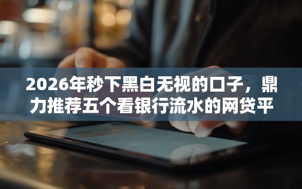 2026年秒下黑白无视的口子，鼎力推荐五个看银行流水的网贷平台