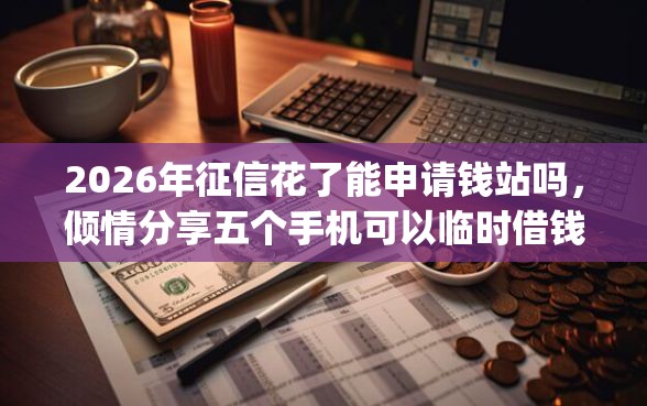 2026年征信花了能申请钱站吗，倾情分享五个手机可以临时借钱的app
