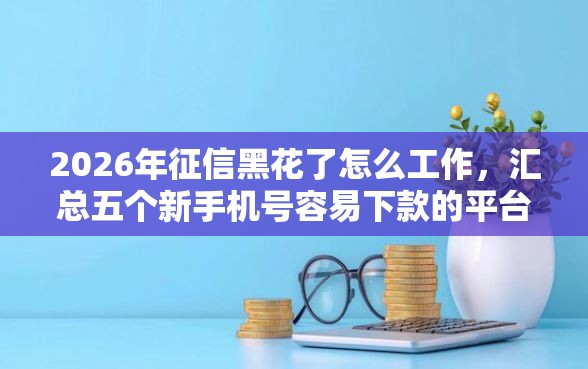 2026年征信黑花了怎么工作，汇总五个新手机号容易下款的平台