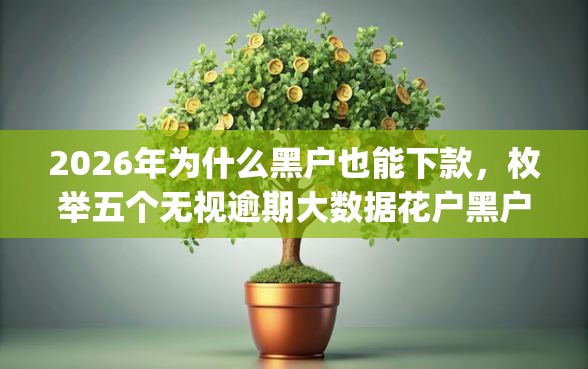 2026年为什么黑户也能下款，枚举五个无视逾期大数据花户黑户app