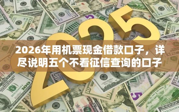 2026年用机票现金借款口子，详尽说明五个不看征信查询的口子