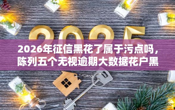 2026年征信黑花了属于污点吗，陈列五个无视逾期大数据花户黑户平台
