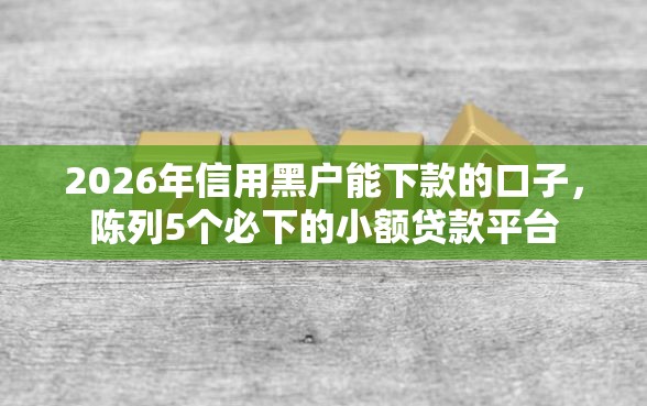 2026年信用黑户能下款的口子，陈列5个必下的小额贷款平台