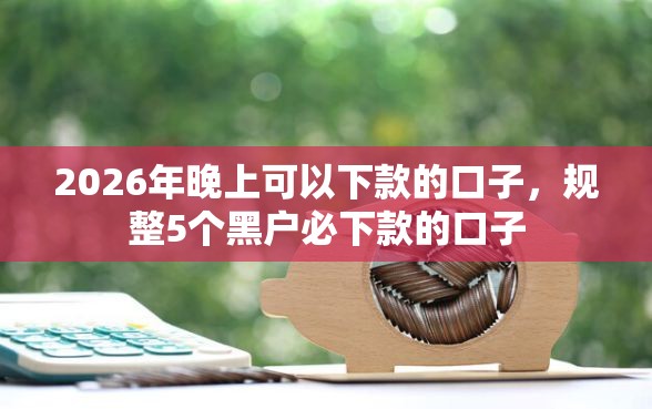 2026年晚上可以下款的口子，规整5个黑户必下款的口子