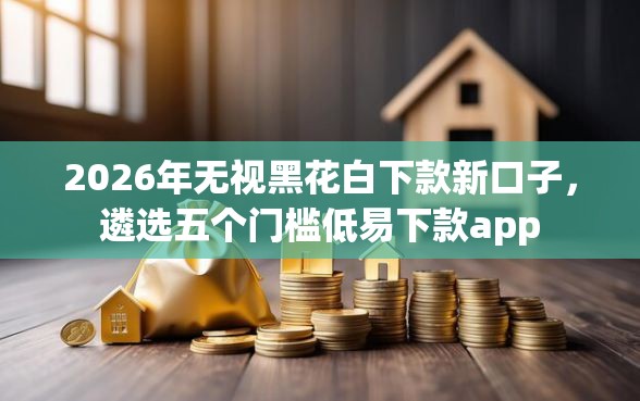 2026年无视黑花白下款新口子，遴选五个门槛低易下款app