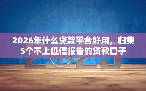 2026年什么贷款平台好用，归集5个不上征信报告的贷款口子