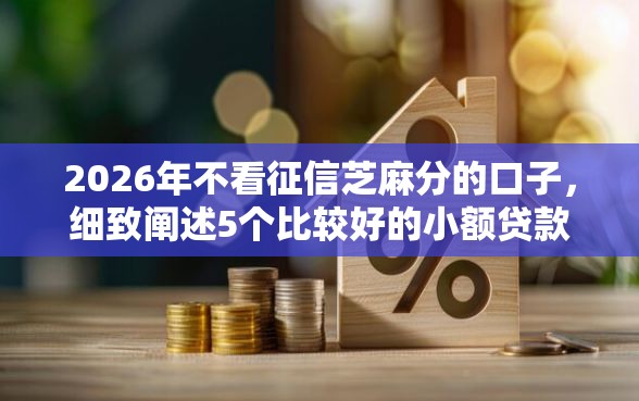 2026年不看征信芝麻分的口子，细致阐述5个比较好的小额贷款平台