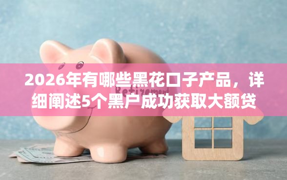 2026年有哪些黑花口子产品，详细阐述5个黑户成功获取大额贷款的app
