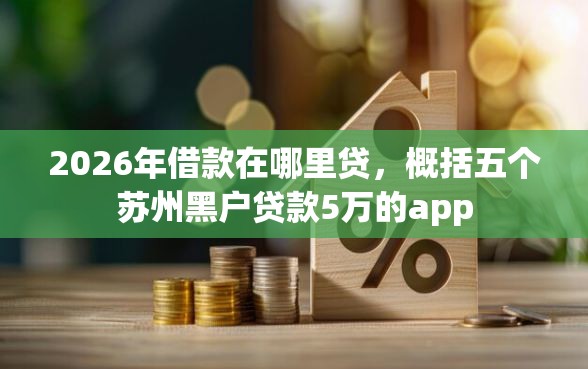 2026年借款在哪里贷，概括五个苏州黑户贷款5万的app