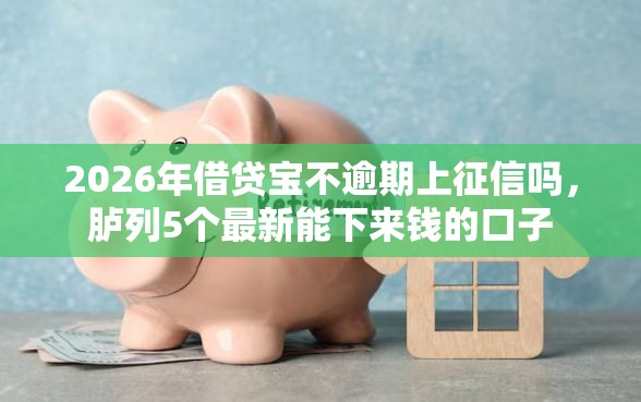 2026年借贷宝不逾期上征信吗，胪列5个最新能下来钱的口子