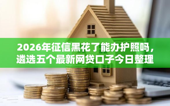 2026年征信黑花了能办护照吗，遴选五个最新网贷口子今日整理这五个口子