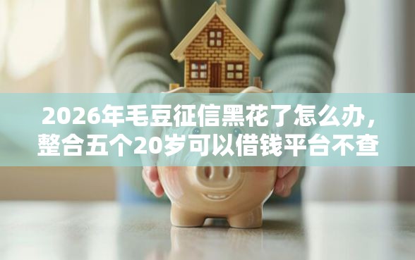 2026年毛豆征信黑花了怎么办，整合五个20岁可以借钱平台不查征信的口子