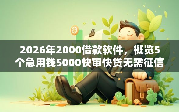 2026年2000借款软件，概览5个急用钱5000快审快贷无需征信平台