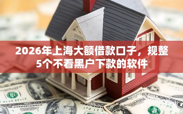 2026年上海大额借款口子，规整5个不看黑户下款的软件