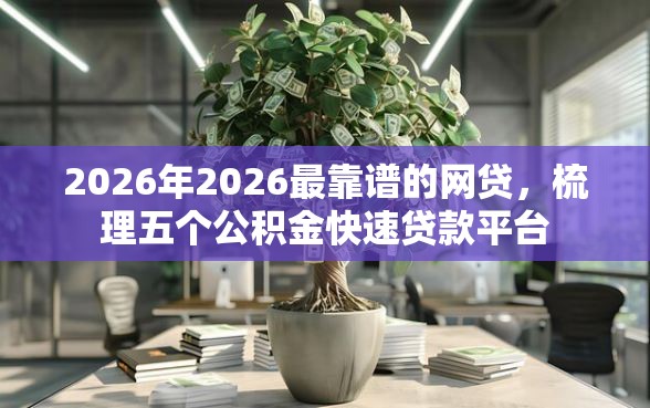 2026年2026最靠谱的网贷，梳理五个公积金快速贷款平台
