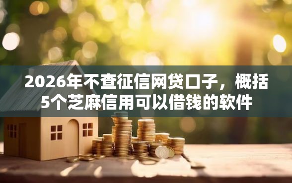 2026年不查征信网贷口子，概括5个芝麻信用可以借钱的软件