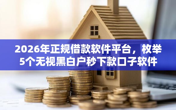 2026年正规借款软件平台，枚举5个无视黑白户秒下款口子软件