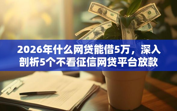 2026年什么网贷能借5万，深入剖析5个不看征信网贷平台放款快的口子