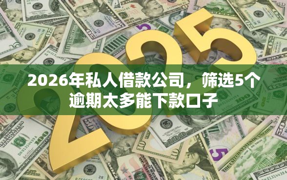 2026年私人借款公司，筛选5个逾期太多能下款口子