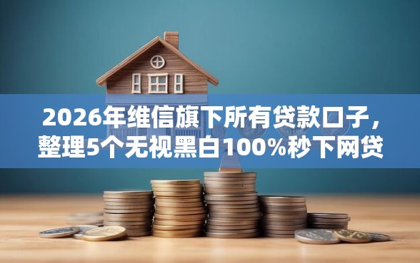 2026年维信旗下所有贷款口子，整理5个无视黑白100%秒下网贷平台
