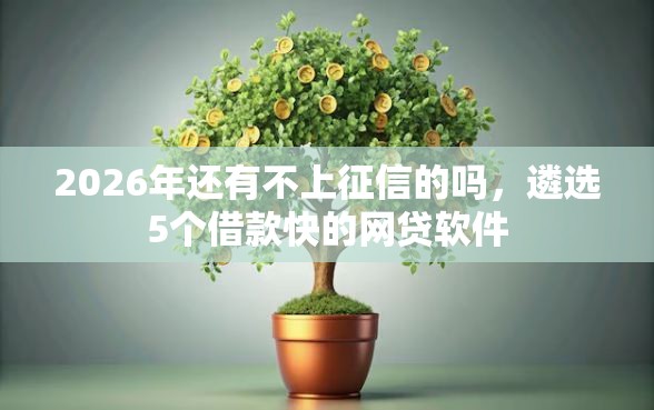 2026年还有不上征信的吗，遴选5个借款快的网贷软件