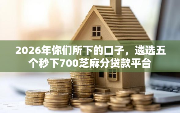 2026年你们所下的口子，遴选五个秒下700芝麻分贷款平台