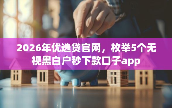 2026年优选贷官网，枚举5个无视黑白户秒下款口子app