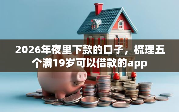 2026年夜里下款的口子，梳理五个满19岁可以借款的app