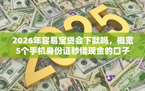 2026年容易宝贷会下款吗，概览5个手机身份证秒借现金的口子