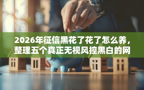 2026年征信黑花了花了怎么养，整理五个真正无视风控黑白的网贷软件