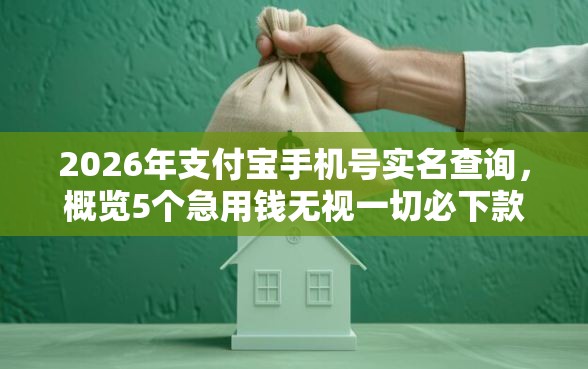 2026年支付宝手机号实名查询，概览5个急用钱无视一切必下款的口子