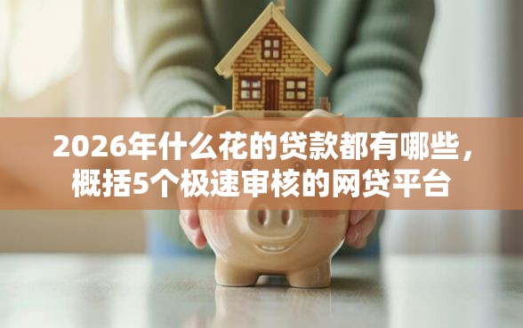 2026年什么花的贷款都有哪些，概括5个极速审核的网贷平台