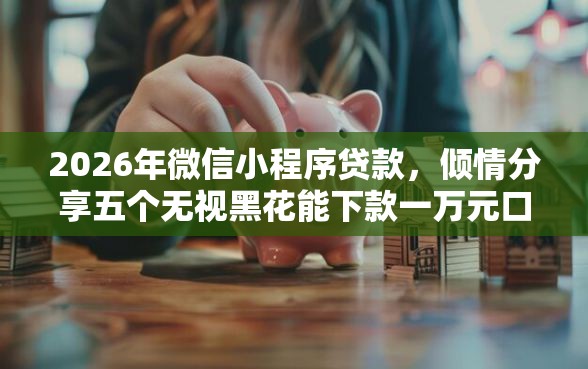 2026年微信小程序贷款，倾情分享五个无视黑花能下款一万元口子